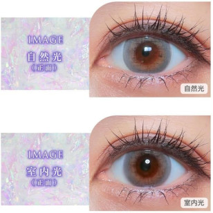COLOR MAJORITY 1Day Aurora Greige カラーマジョリティー オーロラグレージュ